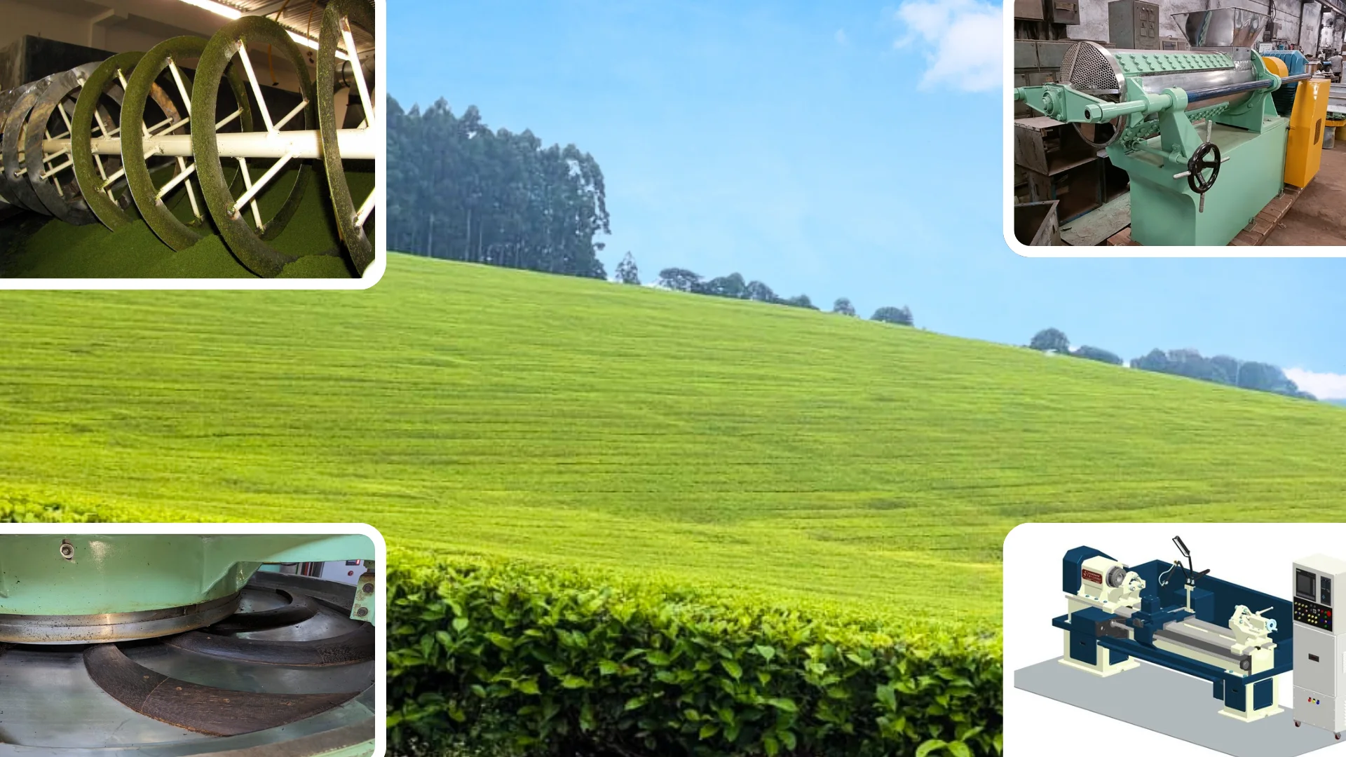 Tea and agro-processing